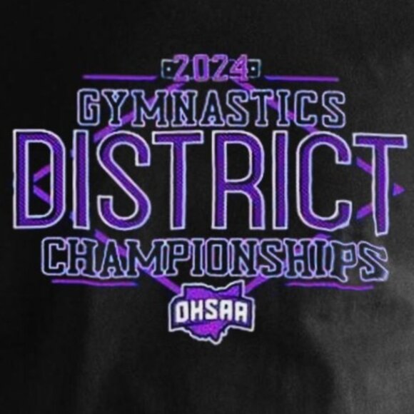 2024 OHSAA Gymnastics Districts Championships Sports Fan Team Pride T-Shirt 24 - Picture 2 of 5